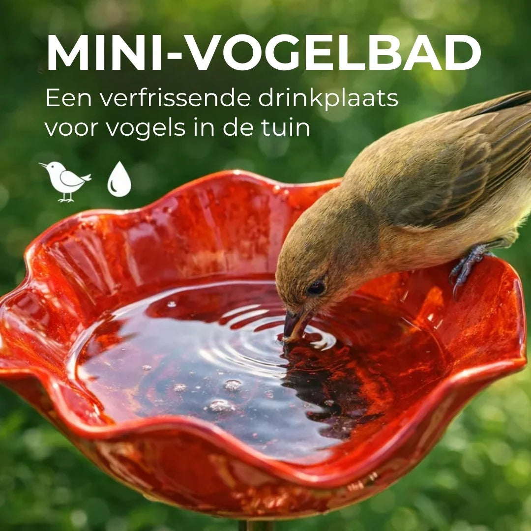 Klaproos Waterbad – Breng meer leven naar je tuin