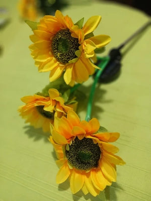A2e8769c7f2f241a6b0899483a6c8c7dbB.jpg