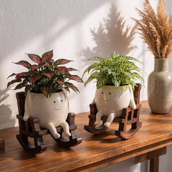 SchommelBloem – Schattig Schommelend Bloempotje