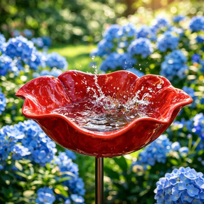Klaproos Waterbad – Breng meer leven naar je tuin